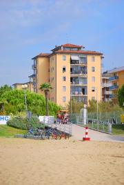 LION A CONDOMINIO