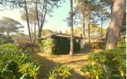 MILLY VILLA